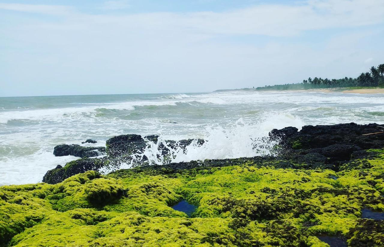 Oceanic Beach Residency Varkala Exterior foto